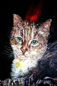 cat