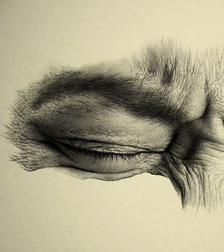 Frown1