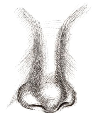 Nose