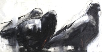 pigeons