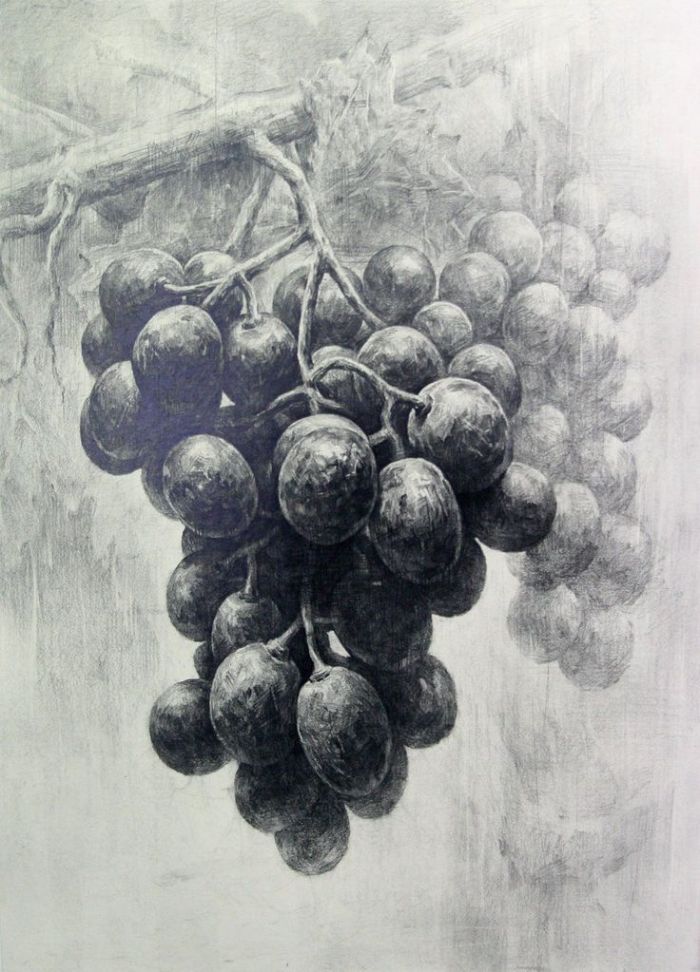 drawn-grapes-realistic-1