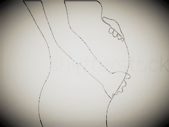 Womb